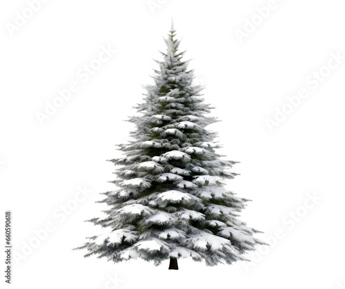 Christmas tree isolated on a white transparent background