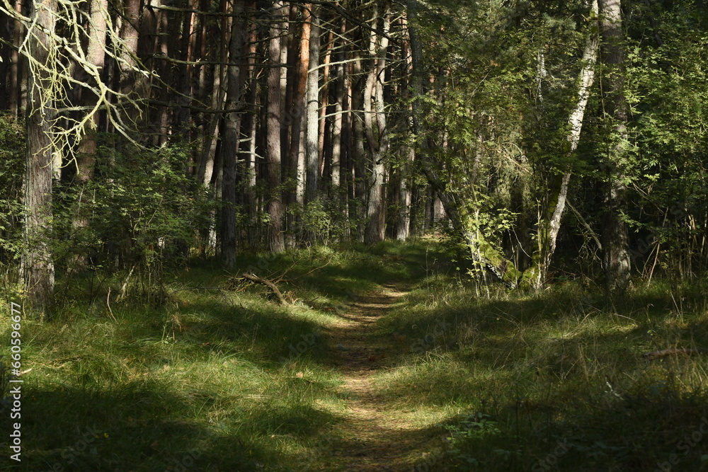 Obraz premium Nature is the material world of the universe, in fact — the main object of the study of natural sciences.