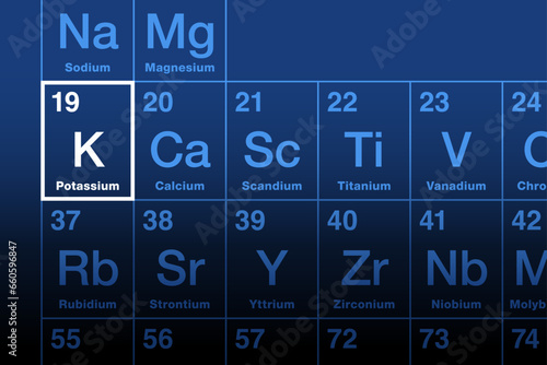 Potassium element on the periodic table. Alkali metal with element symbol K from kalium, and with atomic number 19. Essential for all living cells. Good sources are fresh fruits and vegetables. Vector