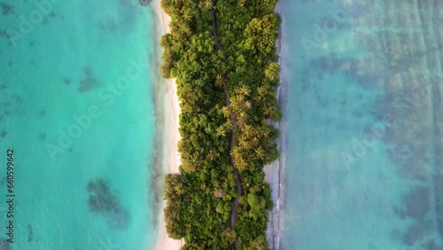 Wallpaper Mural Long paradise island in the Maldives Drone 4K
 Torontodigital.ca