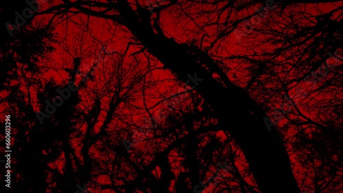 Walking Under Trees In Scary Red Landscape