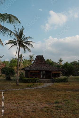 Bungalow Serenity: Palm-Framed Paradise, Gili Trawangan