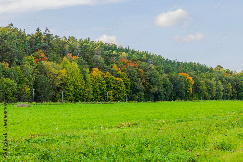 Beautiful autumn view of landscape with colorful green-yellow forest trees and green field. Sweden.