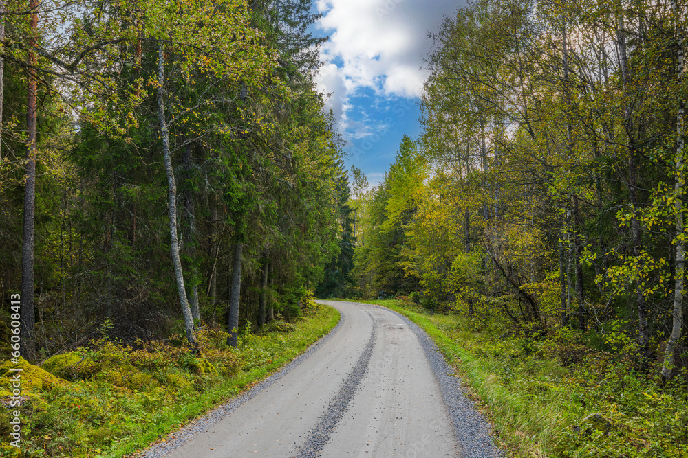 Gorgeous autumn landscape with car road in forest. Sweden.