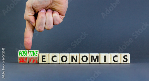 Positive or normative economics symbol. Concept words Positive economics Normative economics on blocks. Beautiful grey background. Businessman hand. Business Positive normative economics concept.