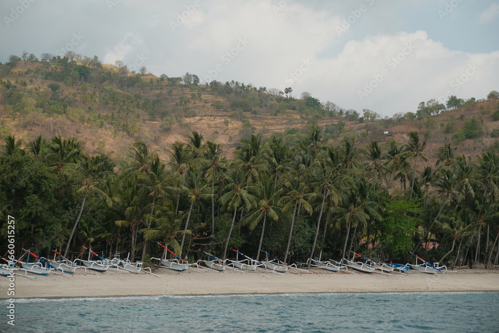 Coastal Bliss: Boats and Palm Trees, Lombok Seaside