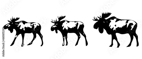 Vintage engraving of isolated moose set illustration ink sketch. Wild elk deer background vector art, isolated on white background.