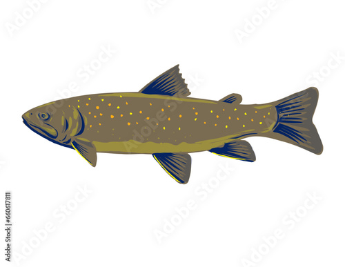 WPA poster art of a bull trout Salvelinus confluentus,  a char of the family Salmonidae viewed from side done in works project administration style or federal art project style.
