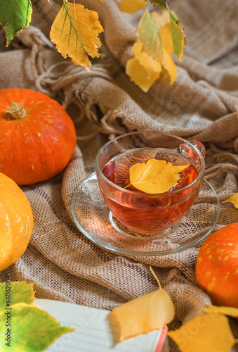 A mug of hot tea on a warm blanket with autumn leaves and pumpkins. Autumn mood.