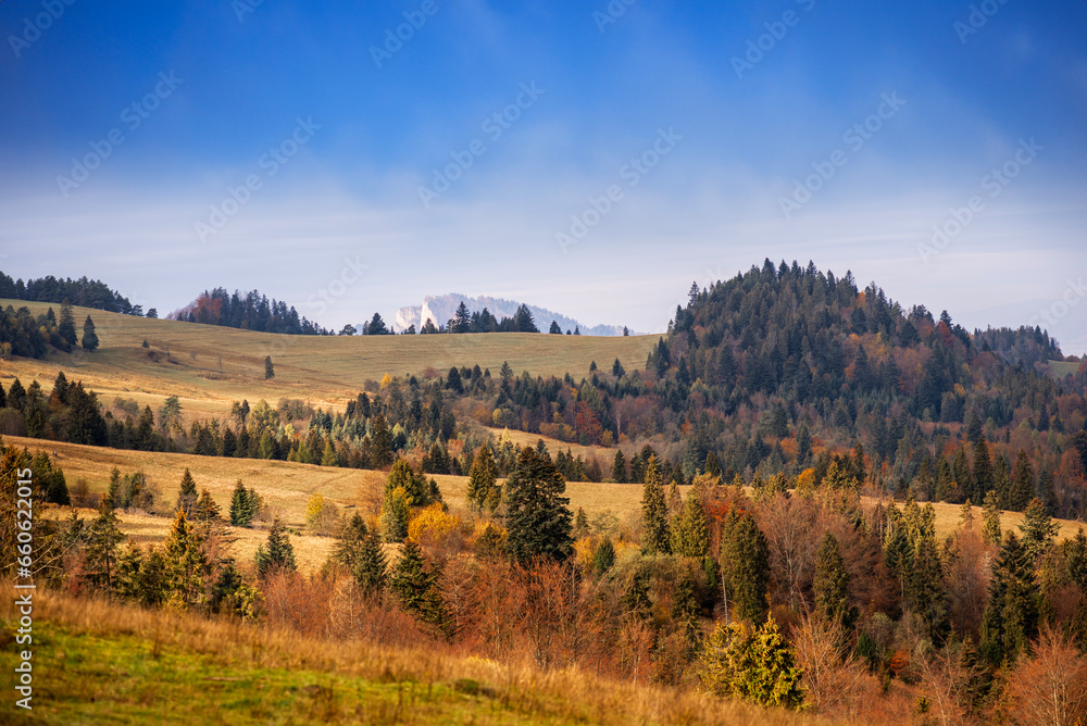 Fototapeta premium autumn in the mountains