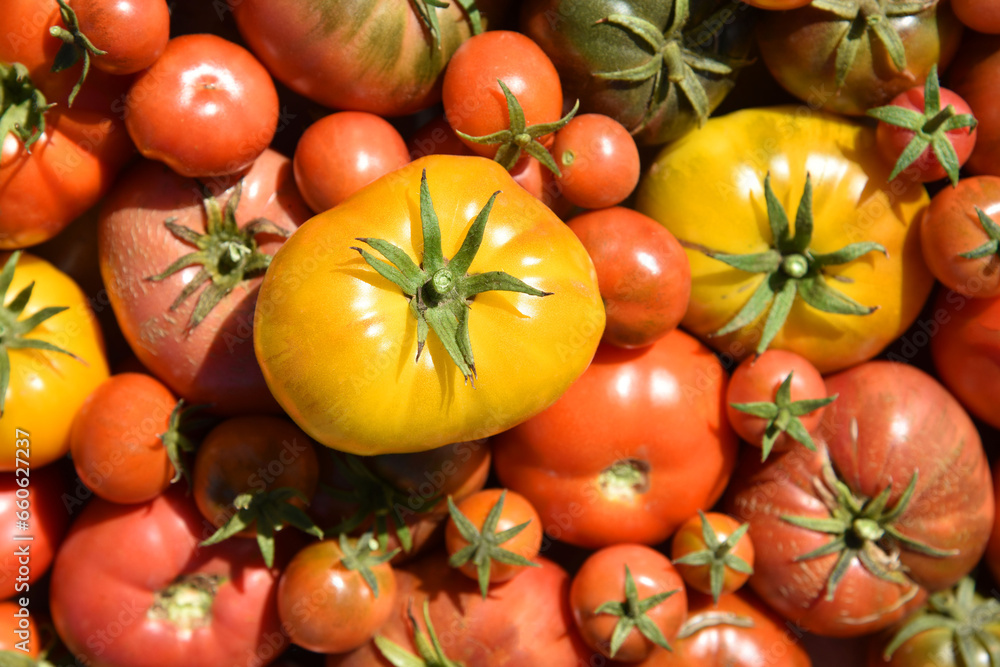 organic heirloom, tomatoes, as background