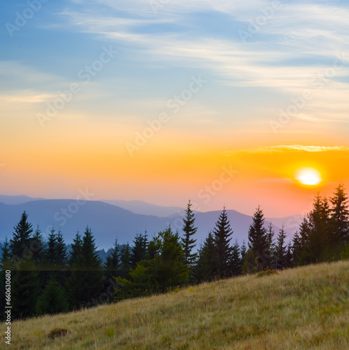 Fototapeta Naklejka Na Ścianę i Meble -  green mountain valley with forest silhouette on slope at the sunset