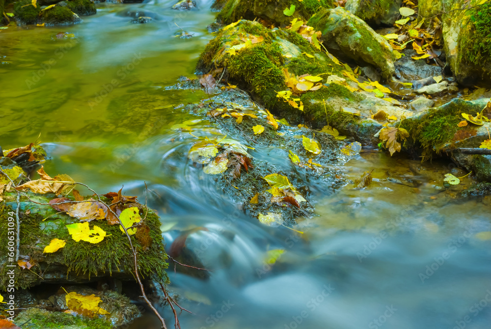 Fototapeta premium closeup small brook rushing in mountain canyon among a stones