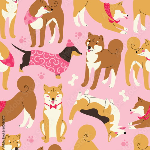 Vector seamless pattern with cute dogs, Corgi, Shiba inu, Dachshund, Akita.