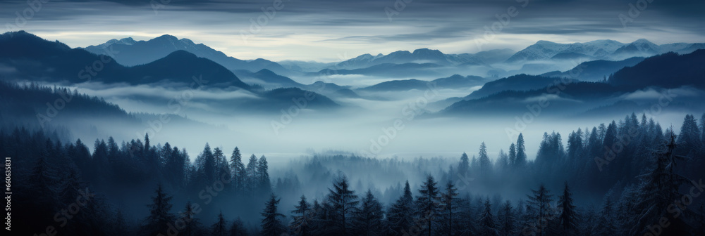 Mystical mysterious fog over the forest tops overlooking the mountains at sunset, banner - obrazy, fototapety, plakaty 