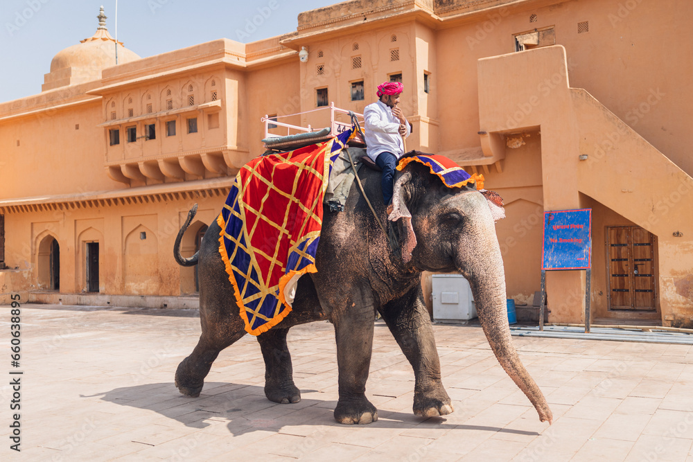 Naklejka premium Elephant ride, Amer Fort, Jaipur, Rajasthan, India