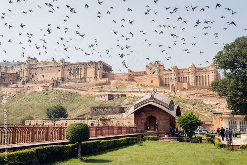 Photography Amer Fort, Jaipur, Rajasthan, India