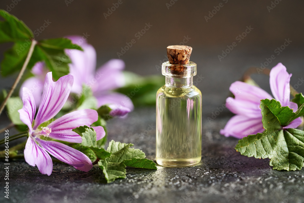 A bottle of essential oil with fresh common mallow A bottle of essential oil with fresh common mallow