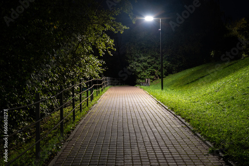 The path in the park is lit by a street lamp at night. There is a sloped lawn and trees. The path leads into darkness. Background. Scenery.