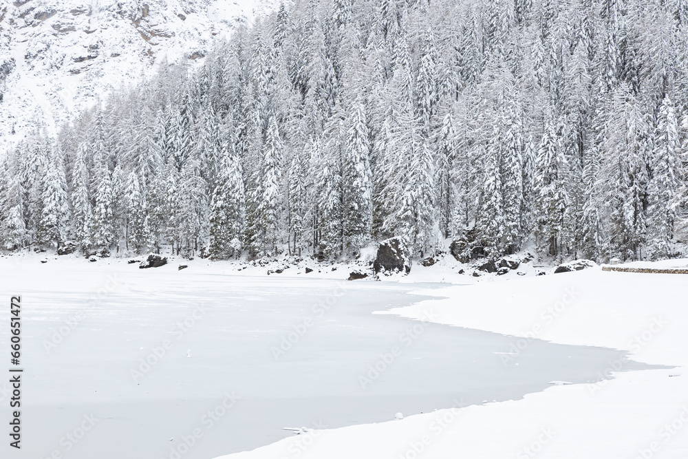View of Braies Lake frozen in a snowy winter day; Trees on background; Dolomites; Alto-Adige, Italy View of Braies Lake frozen in a snowy winter day; Trees on background; Dolomites; Alto-Adige, Italy