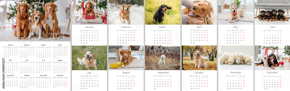 2024 year Photo calendar with cute dogs. Annual daily planner template with doggy pets. The week starts on Monday - obrazy, fototapety, plakaty 