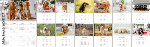 2024 year Photo calendar with cute dogs. Annual daily planner template with doggy pets. The week starts on Monday photo
