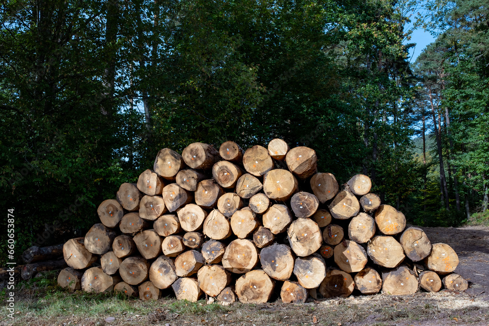 Empilement de troncs d'arbres