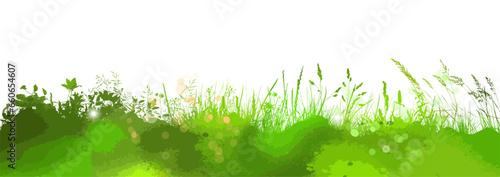 Grass border silhouettes. Grass green horizon line. hand drawing. Not AI, Illustrat3 . Vector illustration