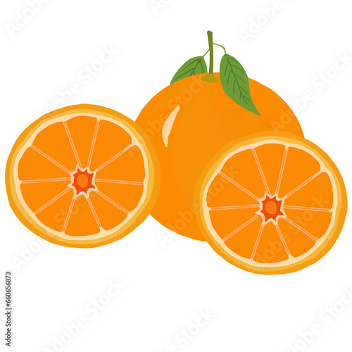 Illustration of an orange fruit cut in half and its leaves 