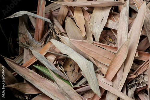 Yellow brown dried bamboo leaves © Bowonpat