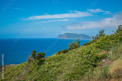 Hill with wild vegetation and flowers overlooking the blue sea and Monte Brasil in the background, Terceira - Azores PORTUGAL