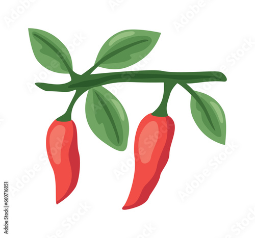 chili peppers design