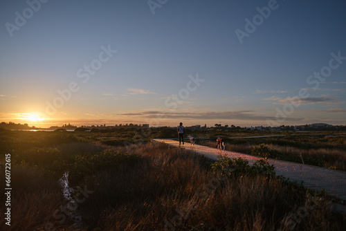 Woman walking two dogs off lead on a cold winter morning through the Waikareao estuary Tauranga at dawn