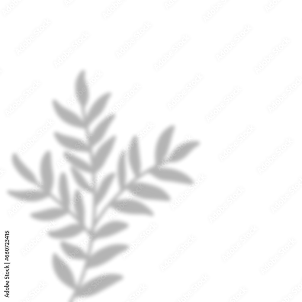 Leaves Shadow Overlay Leaves Shadow Overlay