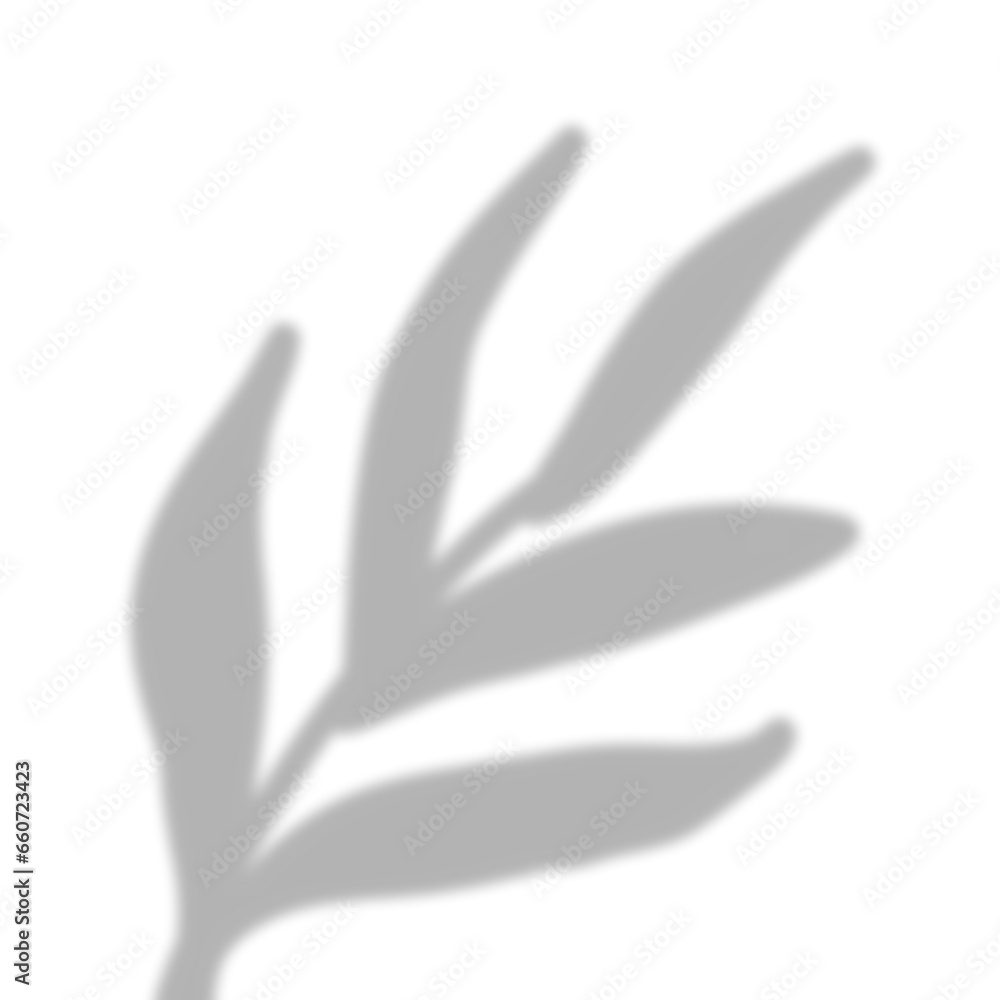 Fototapeta premium Leaves Shadow Overlay