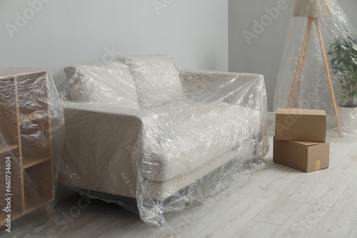 Modern furniture, houseplant covered with plastic film and boxes near light grey wall indoors