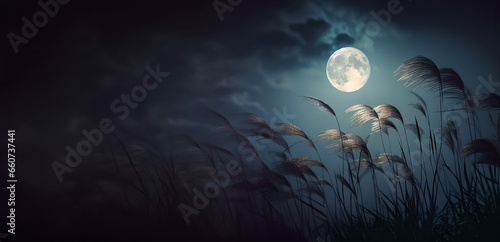 Mid-Autumn Harvest Moon and Susuki (Japanese pampas grass) photo