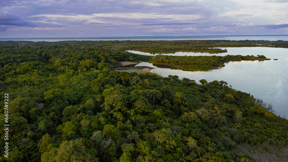 view of the river in the Amazon  forest