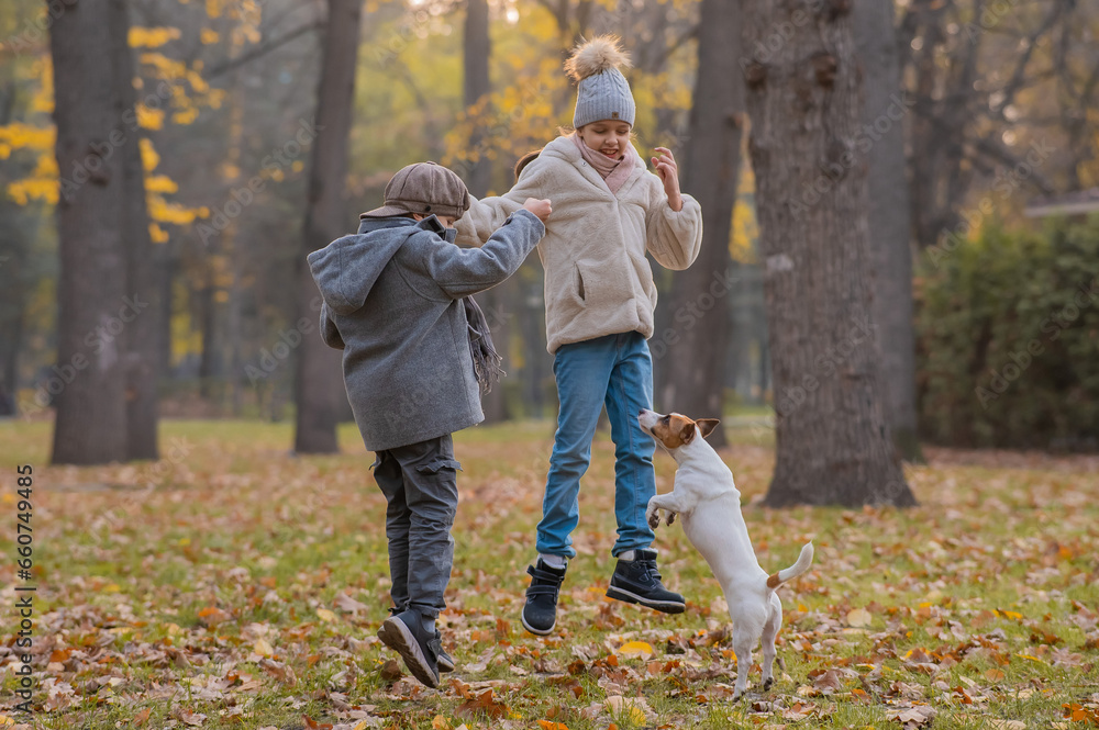 Caucasian children are walking with jack russell terrier in autumn park. Boy, girl and dog are jumping outdoors. Caucasian children are walking with jack russell terrier in autumn park. Boy, girl and dog are jumping outdoors.