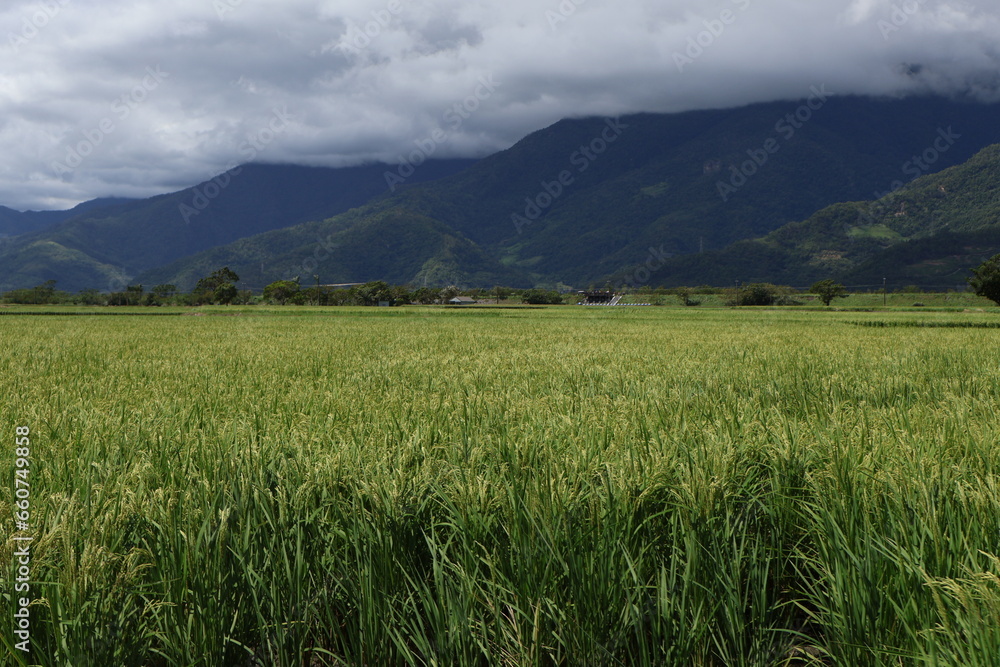 Fototapeta premium October 10, 2023: Eastern Taiwan