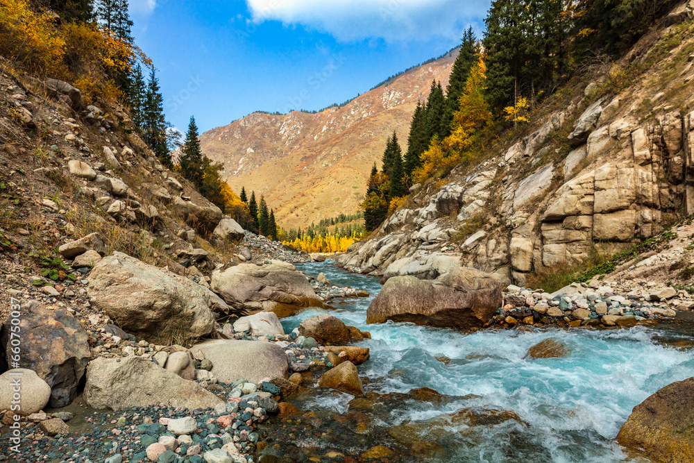 Obraz premium mountain river in autumn
