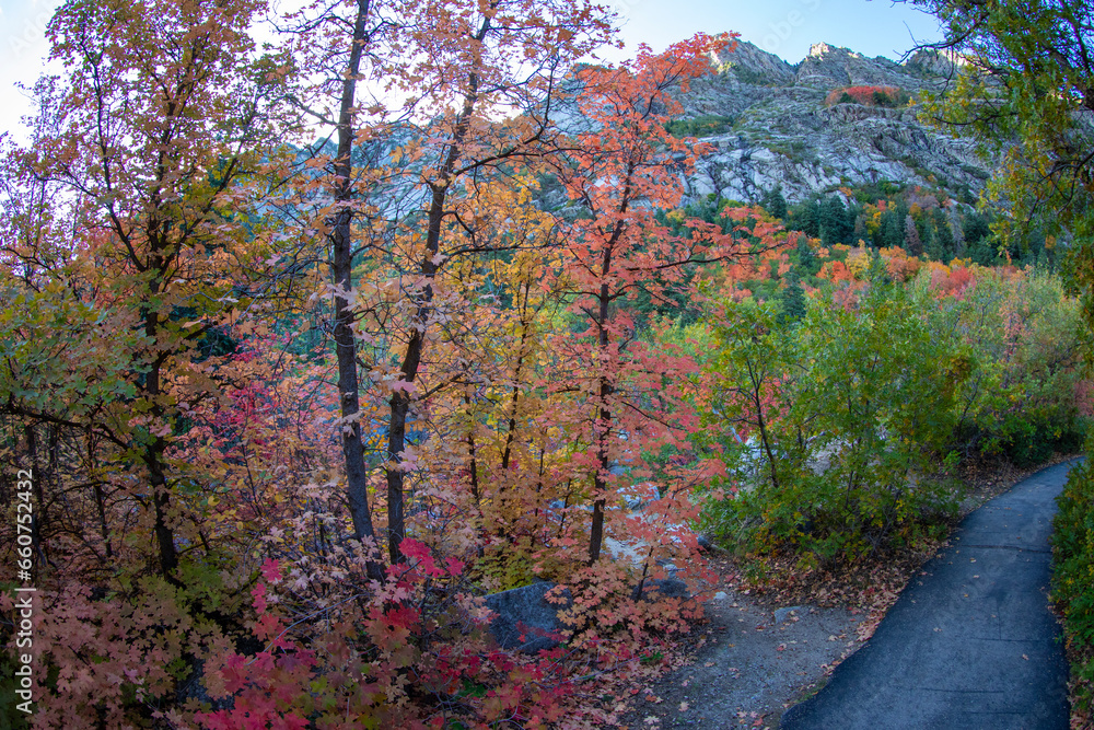 Autumn in the Rocky mountains Autumn in the Rocky mountains