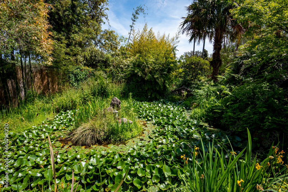 Obraz premium La Mortella Garden in Isola d'Ischia - Italy