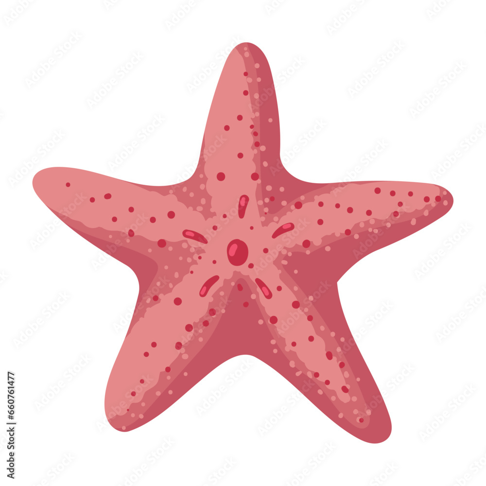 pink starfish sea life design pink starfish sea life design