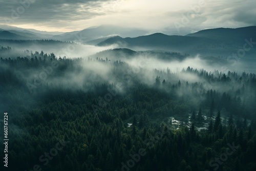 Misty forest amidst mountain clouds, aerial perspective, gloomy scenic beauty, evergreen woods. Generative AI © Edward