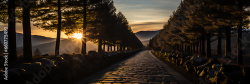 Christmas trees - cobblestone path - sunset - holiday beauty -mountain resort 