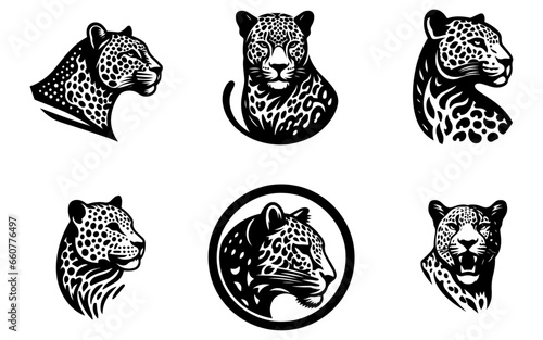 Fototapeta Naklejka Na Ścianę i Meble -  Leopard logo vector illustration black color white background