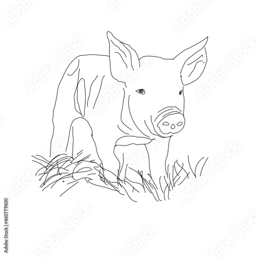 Piglet on field
