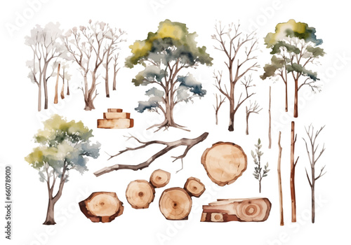 Watercolor green tree, forest,wood sticks, log, branches, wooden slice set collection. Elements design environment ,garden, botanical decoration vector illustration