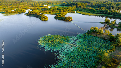Jingyuetan Wetland Park in Changchun, China in summer